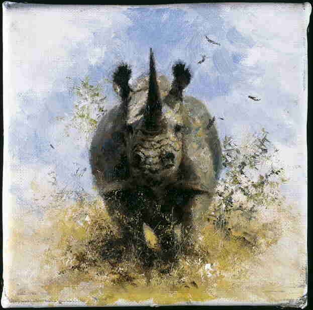 black-rhino print