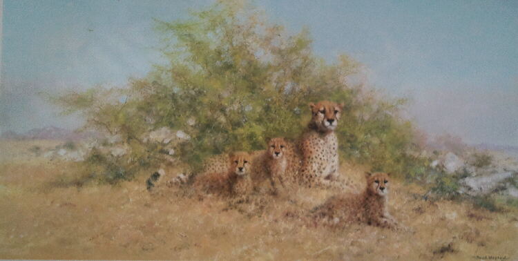 david shepherd cheetahs serengeti family print