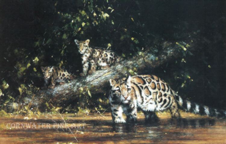 david shepherd clouded leopard and cubs, print