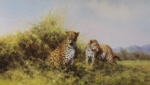 david shepherd leopards, silkscreen, print