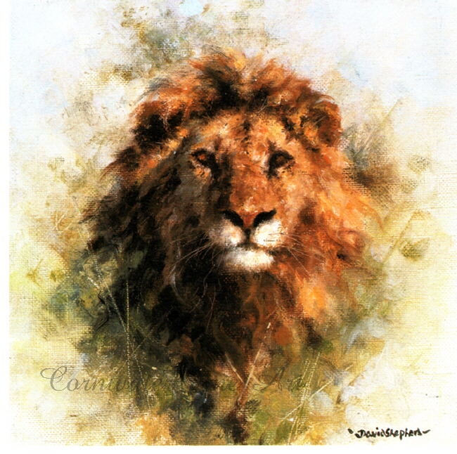 david shepherd  lion, cameo print