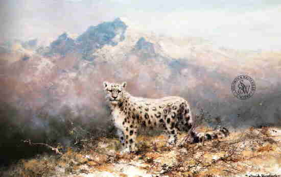 david shepherd  lonely vigil, leopard print