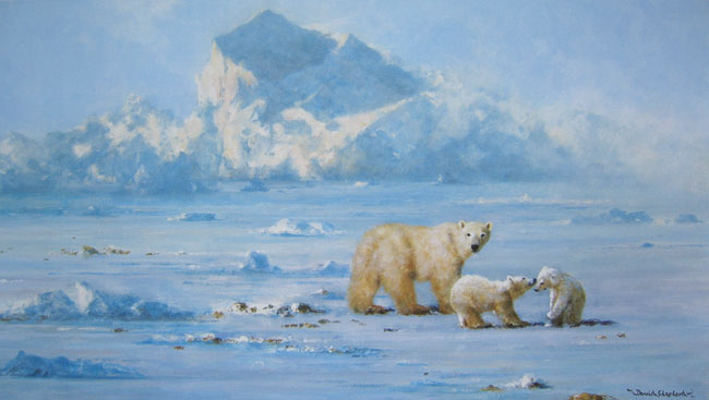 david shepherd polar bear country print