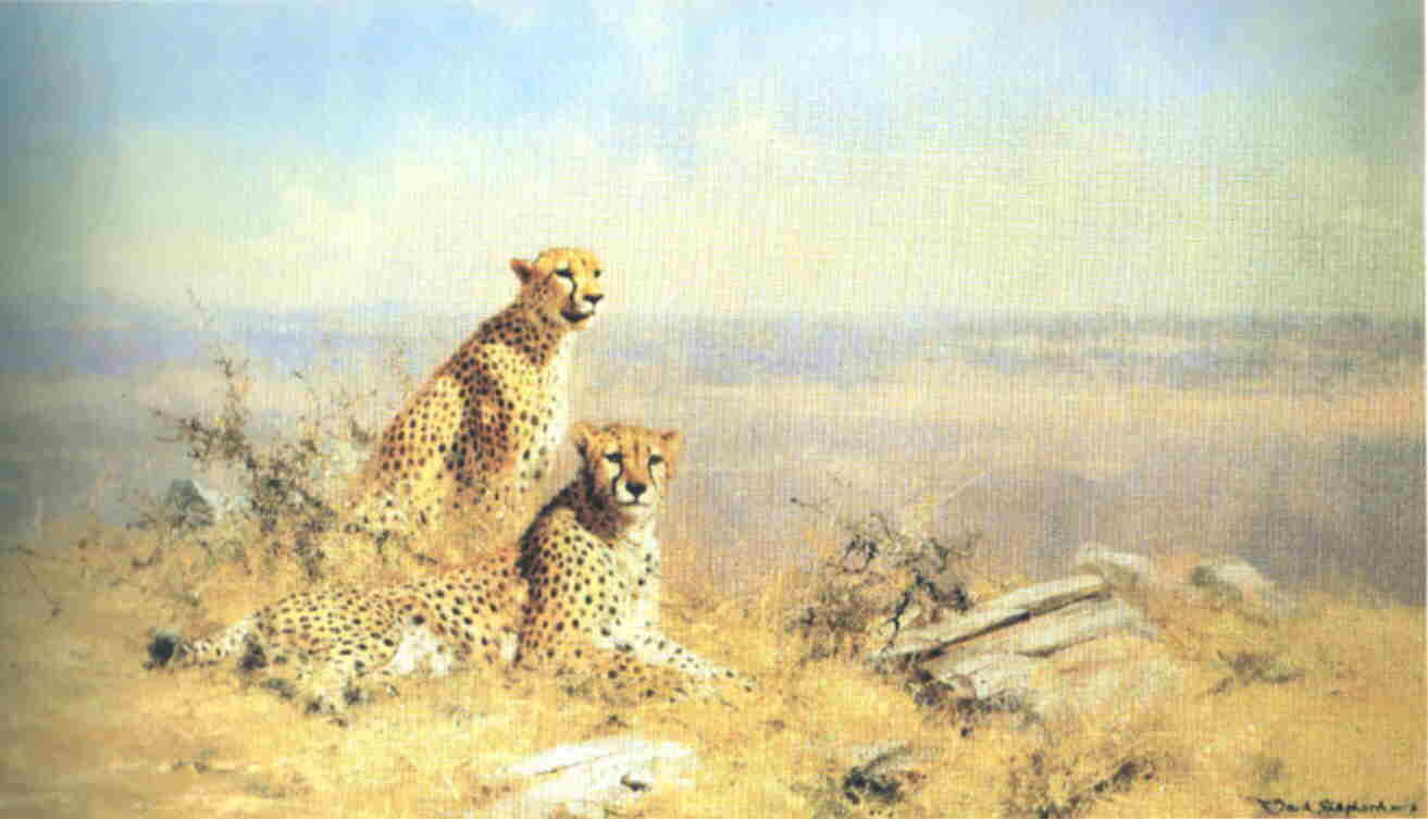 davidshepherd-Serengeti