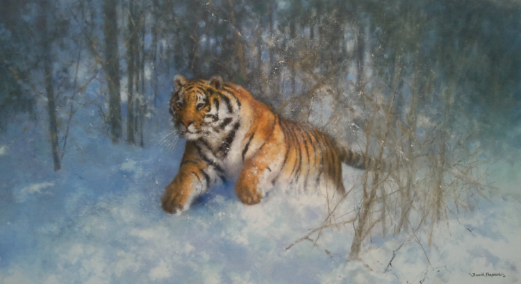 david shepherd Tiger in the snow