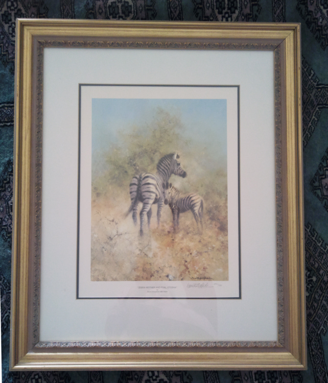 david shepherd zebra mother and foal print framed